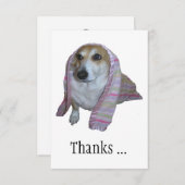 Danke für alle guten Zeiten Corgi (Vorne/Hinten)