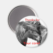 Danke für deine Pflege! Ponies, die Magnete kratze Magnet (Vorderseite/Rückseite)