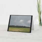 Danke für die Marine 41 (Rückseite)