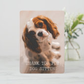 Danke für Hundesitzen - König Charles Cavalier (Stehend Vorderseite)