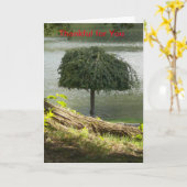 Danke für Ihre Karte (Gelbe Blume)