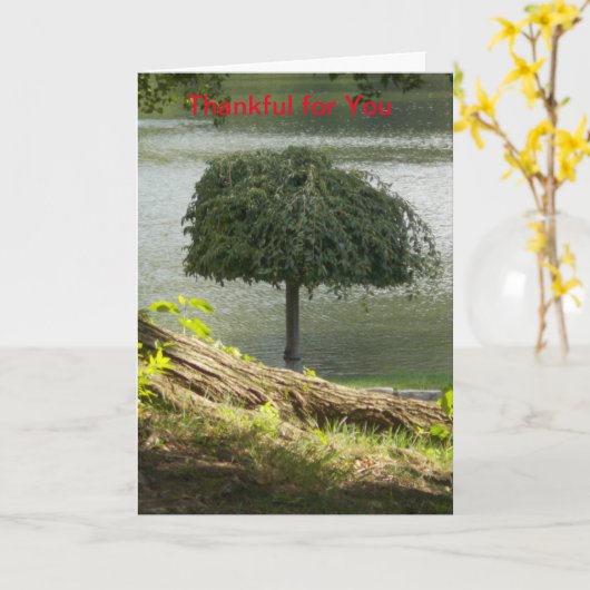 Danke für Ihre Karte (Gelbe Blume)