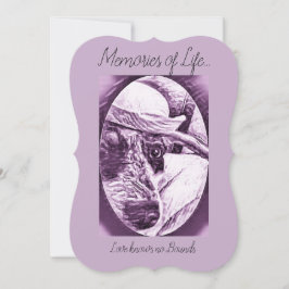 DANKE FÜR KÜMMERTE KARTE - VERLUST DES HAUSTIERES