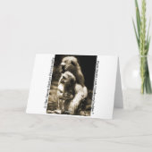 Danke für Sein mein Freund, Geier-Karte (Rückseite)