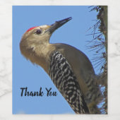 Danke Gila Woodpecker Foto Bird Aufwertung Weinetikett (Einzelnes Label)