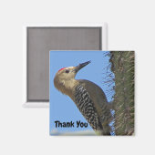 Danke Gila Woodpecker Foto Southwest Bird Magnet (Vorderseite/Rückseite)