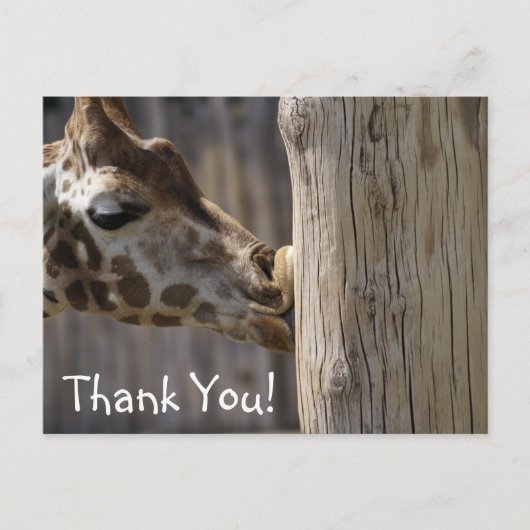 Danke Giraffe Kisses Postkarte (Vorderseite)