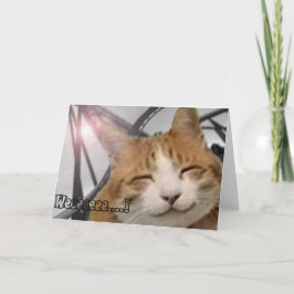 Danke, - glückliche Katze zu kardieren Dankeskarte
