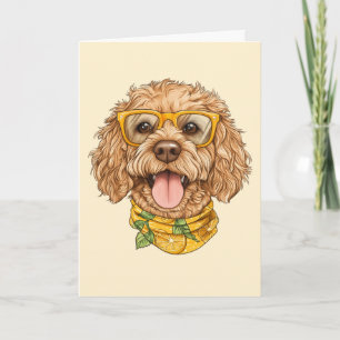 Danke Goldendoodle Hund Sonnenbrille Orangen