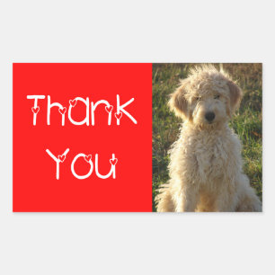 Danke Goldendoodle Welpen Hund Aufkleber / Etikett