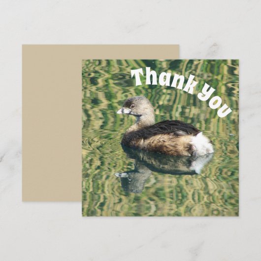 Danke Grebe und Reflektion Foto Wertschätzung (Vorne/Hinten)