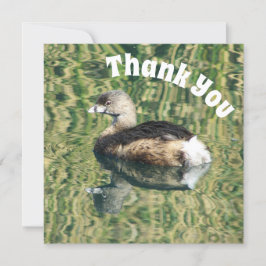 Danke Grebe und Reflektion Foto Wertschätzung