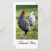 Danke, Hahn-Foto-Karte Dankeskarte (Vorne/Hinten)
