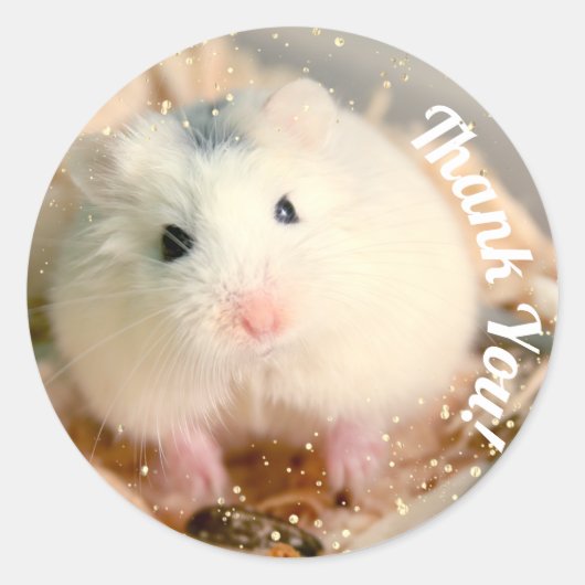 Danke - Hammyville White Hamster Runder Aufkleber (Vorderseite)