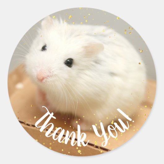 Danke - Hammyville White Hamster Square Stick Runder Aufkleber (Vorderseite)