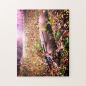 Danke Harvested Whitetail Buck Puzzle (Vertikal)