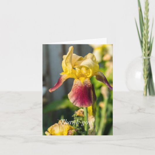 Danke - Heirloom Iris (Vorderseite)