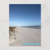 Danke Holiday Postcard Feiertagspostkarte (Vorderseite)