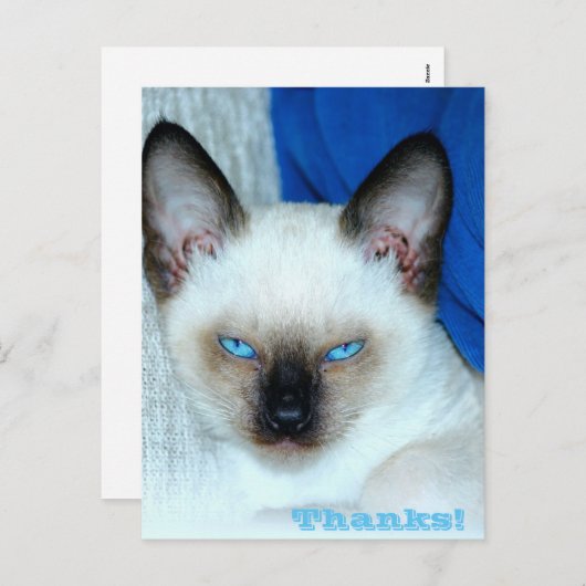 Danke Holiday Postcard Feiertagspostkarte (Vorne/Hinten)