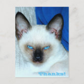 Danke Holiday Postcard Feiertagspostkarte (Vorderseite)