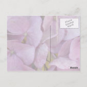 Danke! (Hortensia (pink)) - Postkarte (Rückseite)