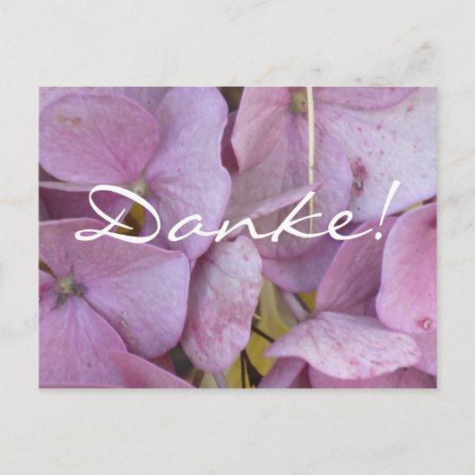 Danke! (Hortensia (pink)) - Postkarte (Vorderseite)