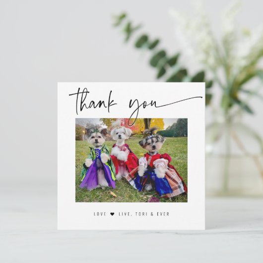 DANKE IHNEN PET FOTO moderne, einfache Skripte (Stehend Vorderseite)