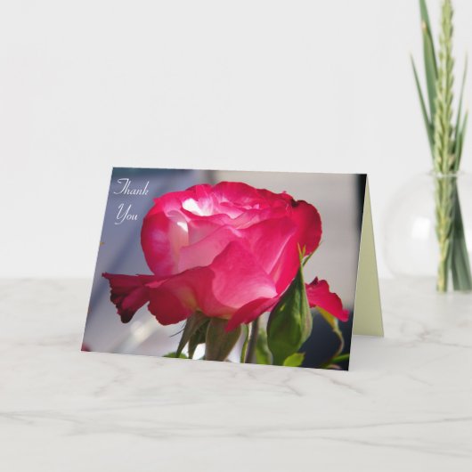 Danke jedes mögliches Occasions_Card (Vorderseite)