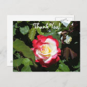 Danke jemand mit einer Red Tipped Balboa Island Ro Postkarte (Vorne/Hinten)