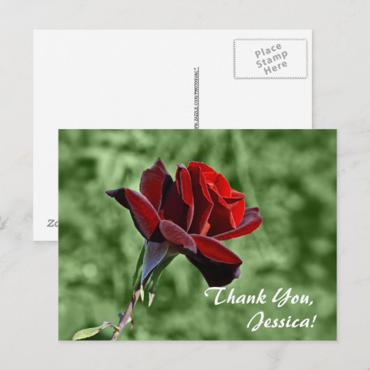 Danke, Jessica! Postkarte (Vorne/Hinten)