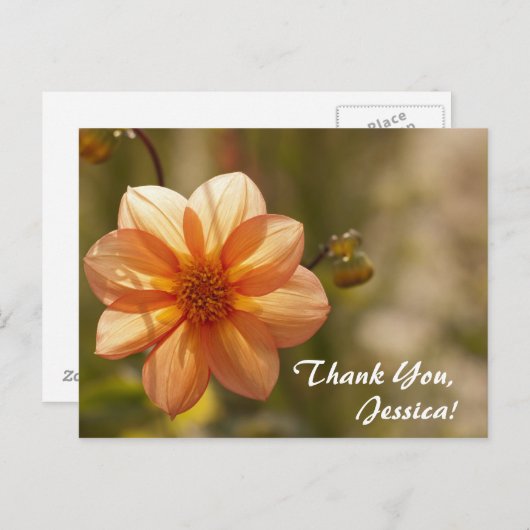 Danke, Jessica! Postkarte (Vorne/Hinten)