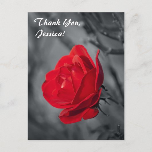 Danke, Jessica! Postkarte (Vorderseite)