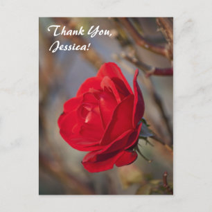 Danke, Jessica! Postkarte