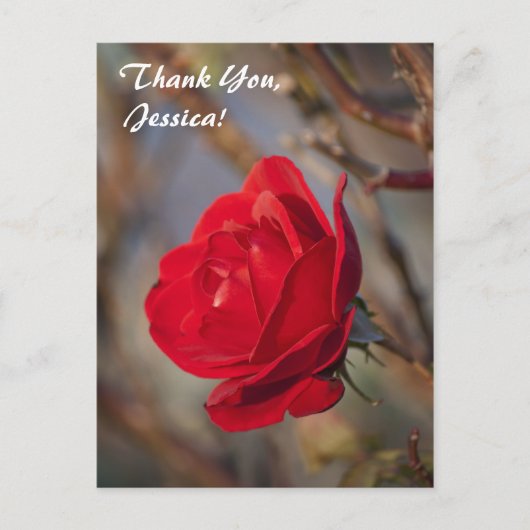 Danke, Jessica! Postkarte (Vorderseite)