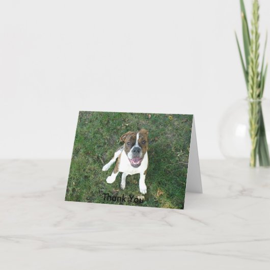 Danke Karte (Bow Wow!) (Vorderseite)
