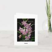 Danke Karte mit rosa Orchideen (Rückseite)