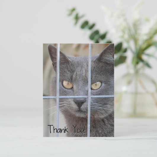 Danke! Katze Postkarte (Stehend Vorderseite)