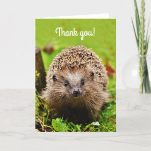 "Danke!" Kleiner Igel im Wald Dankeskarte