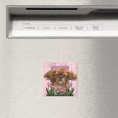 Danke - König Charles Cavalier - Ruby Magnet (In Situ (Geschirrspüler))