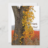 DANKE/KUNSTSTOFFBAUM, RINDFLEISCH, BLUEBERRY FELDE (Vorderseite)