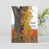 DANKE/KUNSTSTOFFBAUM, RINDFLEISCH, BLUEBERRY FELDE (Stehend Vorderseite)