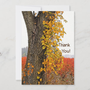 DANKE/KUNSTSTOFFBAUM, RINDFLEISCH, BLUEBERRY FELDE