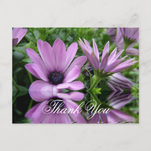 Danke lila Gänseblümchen Postkarte