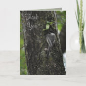 Danke, Little Birdie Cards von Janz Dankeskarte (Vorderseite)