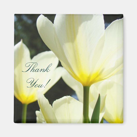 Danke! Magnet Gelb Weiße Tulip Blume Boss (Vorne)