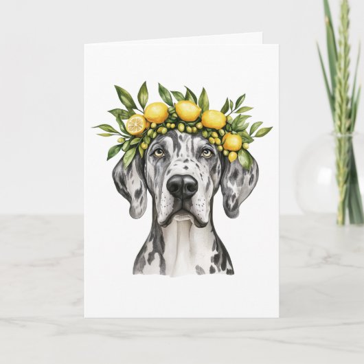 Danke Merle Great Dane Dog Lemon Crown (Vorderseite)