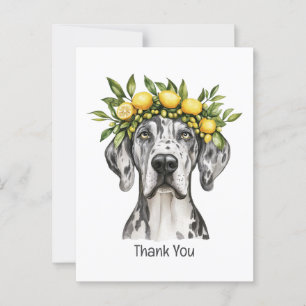 Danke Merle Great Dane Dog Lemon Crown Postkarte