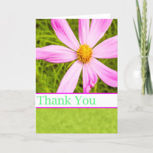 Danke mit rosa Kosmosblume
