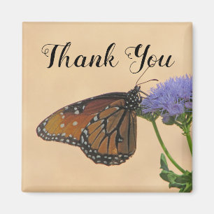 Danke Monarch Foto Orange Butterfly Magnet