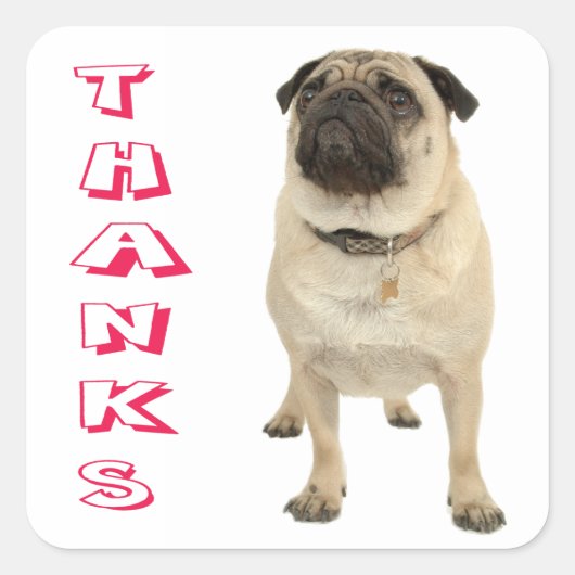 Danke Mops Puppy Docking Stickers / Siegel (Vorderseite)